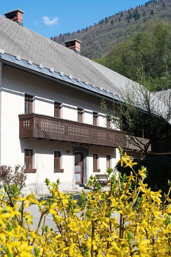 Pr'Mruzo Apartmaji Bohinj Εξωτερικό φωτογραφία