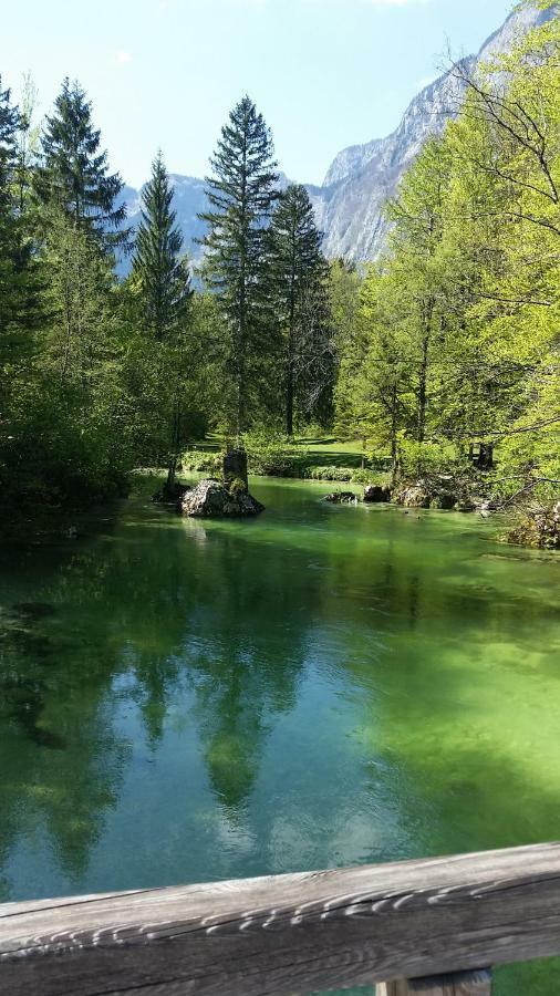 Pr'Mruzo Apartmaji Bohinj Εξωτερικό φωτογραφία